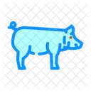 Yorkshire Pig Breed Icon