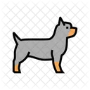 Yorkshire Terrier Rottweiler Icon