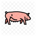 Yorkshire Pig Breed Icon
