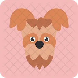 Yorkshire terrier  Icon