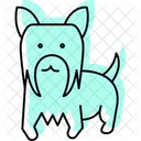Yorkshire Terrier Perro Icono