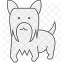 Yorkshire Terrier Perro Icono
