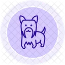 Terrier De Yorkshire Icono