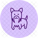 Yorkshire Terrier Perro Icono