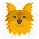 Yorkshire Terrier dog  Icon