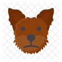 Yorkshire Terrier Pet Dog Dog Icon