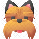 Yorkshire Terrier Animal Dog Icon