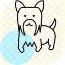 Yorkshire Terrier Yorkshireterrier Dog Icon