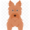 Yorkshire Terriers Dog Animal Icon