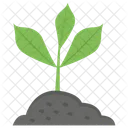 Young Plant Growing Plant Plant Life Icon