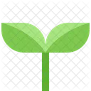Young Plant Sapling Icon