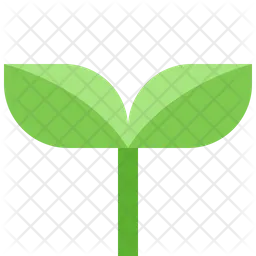 Young plant  Icon