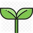 Young Plant Sapling Icon