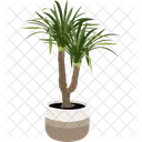 Yucca Plant Pot House Plant Icon
