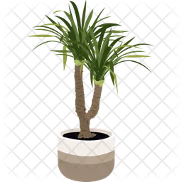 Yucca  Icon