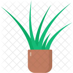 Yucca  Icon