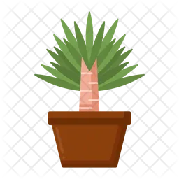 Yucca  Icon