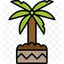 Yucca Houseplant Mexican Icon