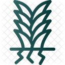 Yucca  Icon