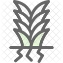 Yucca  Icon