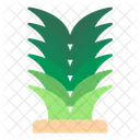 Yucca Icon