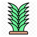 Vegetable Fresh Vegetable Plant Icon