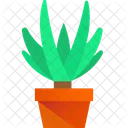 Yucca Cane Plant Green Plant Plant Icon