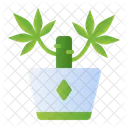Yucca Plant Icon