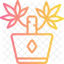 Yucca Plant Ecology Indoor Plant Icon