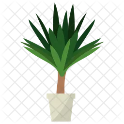 Yucca Potted Plant  Icon