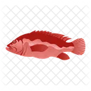 Zackenbarsch Fisch  Symbol