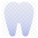 Zahn Dental Zahnarzt Icon