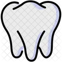 Zahn Korper Dental Symbol