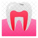 Zahn Mensch Organ Symbol