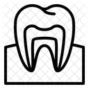 Zahn Mensch Organ Symbol