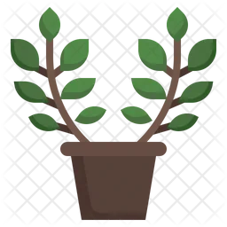 Zamioculcas  Icon