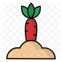 Zanahoria Icono