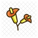 Zantedeschia Flower Plant Icon