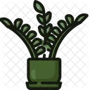 Zanzibar Gem Plant Pot Indoor Plants Icon