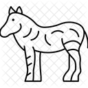Zebra Icon