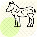 Zebra Symbol