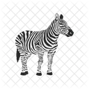 Zebra  Symbol