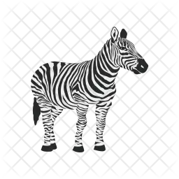 Zebra  Icon