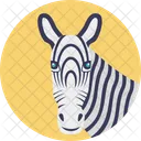 Zebra Face Wildlife Icon