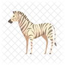 Zebra Africa Mammal Icon