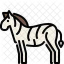 Zebra  Icon