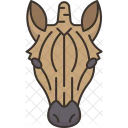 Zebra  Icon