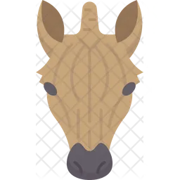 Zebra  Icon