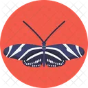 Zebra Butterfly  Icon