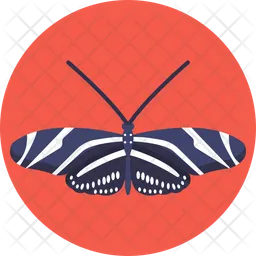 Zebra Butterfly  Icon